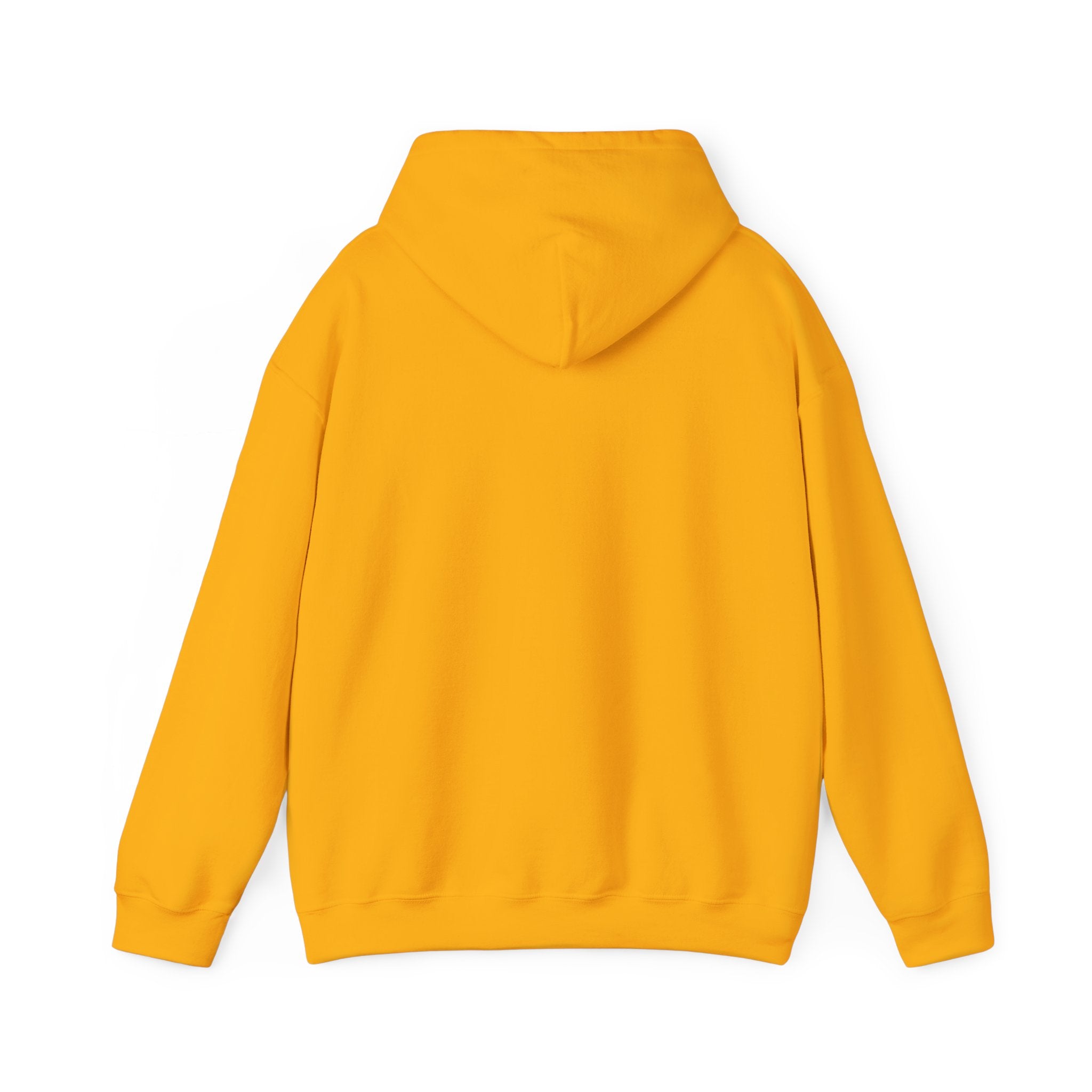 Arts, Crafts & Alibis Hoodie